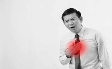 心脏教案推荐8篇
