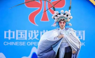戏曲活动的总结5篇