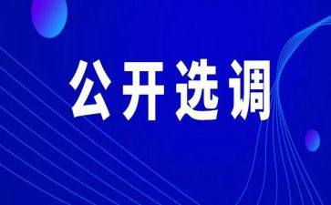 2024年选调生个人总结5篇