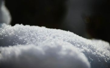 雪作文800字初中参考5篇