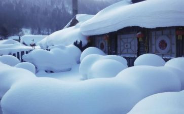 扫雪除雪活动总结5篇