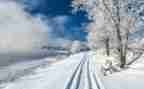 除雪调研报告总结5篇
