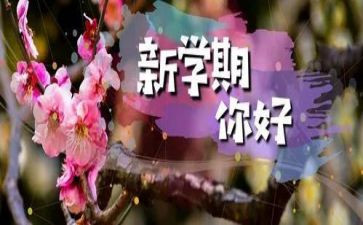 小学四年级班主任学期总结6篇