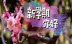 大班下学期日工作总结优秀6篇
