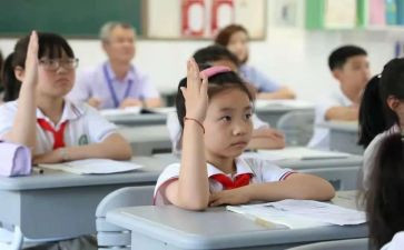 学生办活动的总结最新8篇