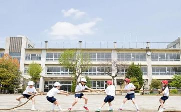 大学生个人心得总结5篇