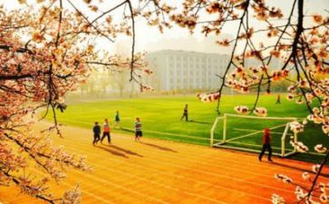 学校安全隐患的自查报告6篇