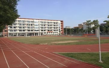 学校个人工作总结2023参考5篇