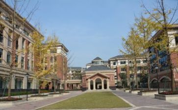 学校教师辞职报告6篇