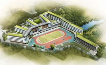 学校周总结报告6篇