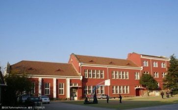 学校个人工作总结报告8篇