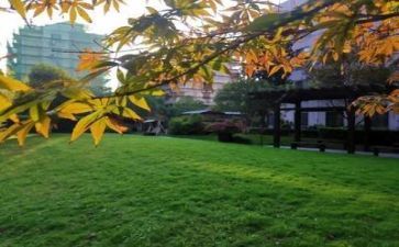 2023年学校安全工作总结精选8篇