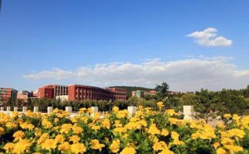 学校的党日活动总结参考7篇