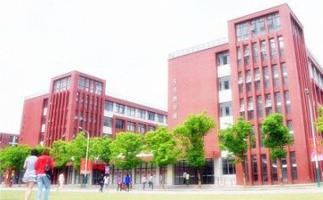 学校教师培训年度总结8篇