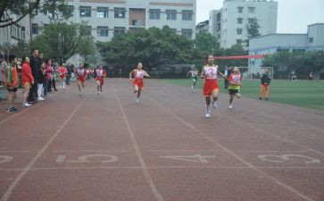 2024年学校体育卫生工作总结5篇