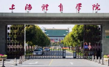学院个人述职报告6篇
