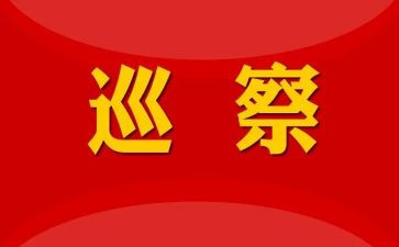 对村巡察心得体会5篇