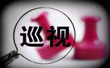 巡查员年终工作总结5篇