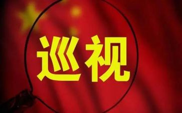 巡视工作心得体会7篇
