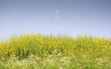 叙事作文300字5篇