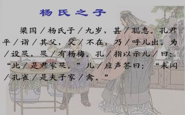 读杨氏之子的读后感5篇