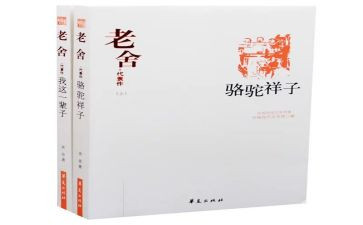 骆驼样子的心得体会5篇