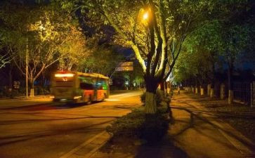 大学熬夜情况调查报告6篇