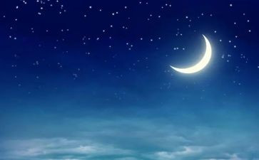 中秋夜活动方案优秀6篇
