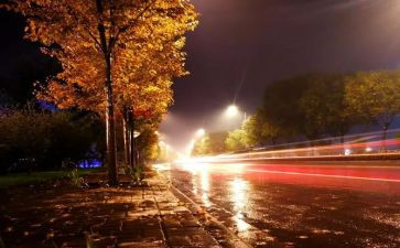 夜经济申请书5篇
