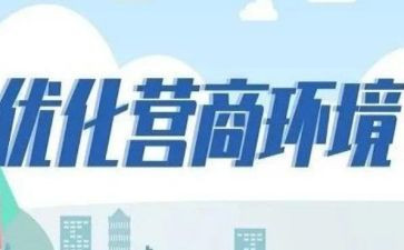 营商局个人工作总结模板5篇