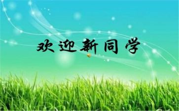 幼儿园中班迎新活动方案7篇