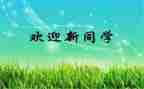 2024年幼儿园迎新活动方案优质5篇