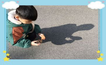 捉影子幼儿园教案模板7篇