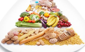 饮食安全幼儿教案7篇