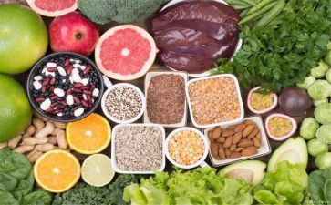 饮食营养活动教案7篇