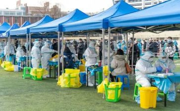 疫情来了心得体会最新6篇