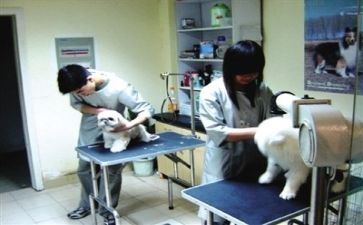 医院是心得体会通用5篇