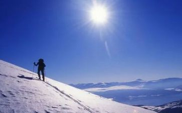 钢铁意志的作文5篇