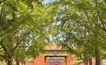 雍和宫参观感悟心得体会7篇