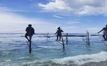 游记公园作文模板6篇