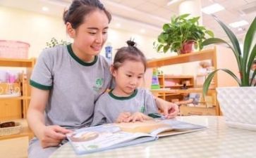 幼师的实习个人总结8篇