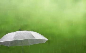 关于雨的书的读后感通用7篇