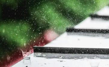 雨来读后感400字模板7篇