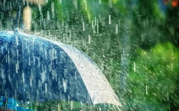 雨的读后感30字模板7篇