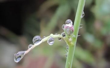 雨的读后感300字优秀7篇
