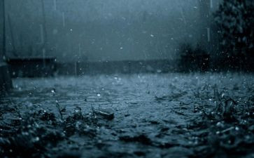 三月的雨工作总结优质5篇