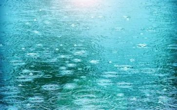 雨读后感200字最新8篇
