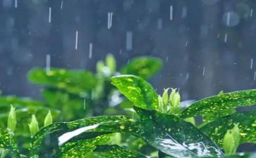 4年级作文雨400字通用6篇