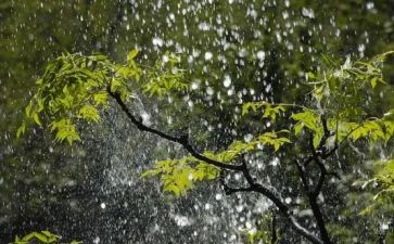雨读后感400字推荐5篇
