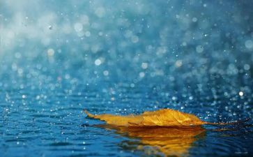 《小雨滴》教案6篇